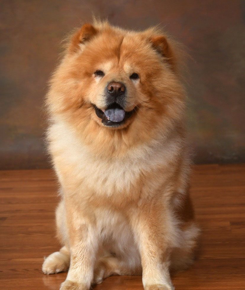 Staff Photo