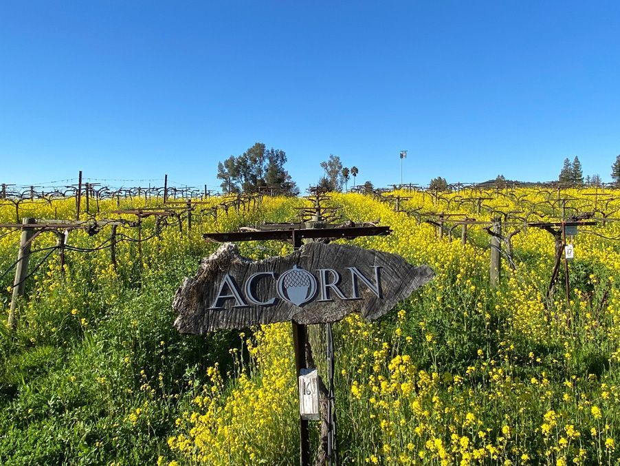 Photo of ACORN Winery sign in vineyard 