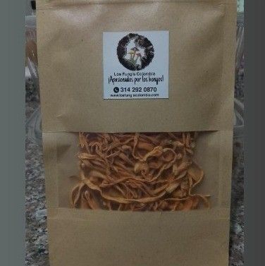Cordyceps Militaris
