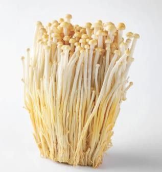 Enoki Dorado