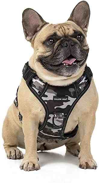 A tan French Bulldog sitting, wearing a black and gray camouflage pattern dog harness against a plain white background.