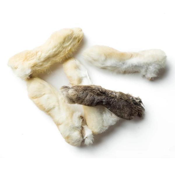 Four dried, furry animal feet—three white and one dark brown—arranged on a plain white background.