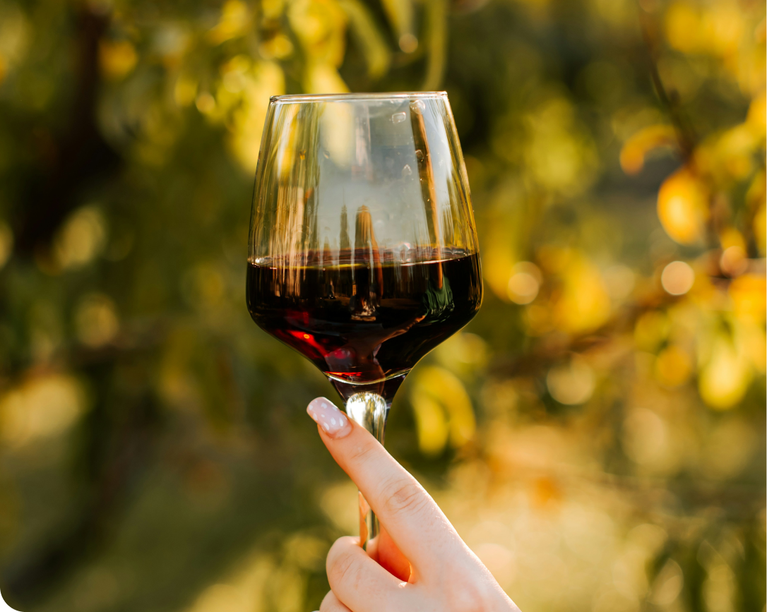 Mão segurando uma taça de vinho tinto contra um fundo externo quente e desfocado.