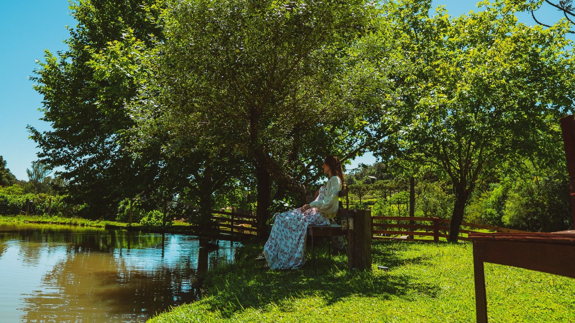 Uma pessoa está sentada em um banco de madeira sob uma árvore verdejante, ao lado de um lago tranquilo e ensolarado, em uma paisagem vibrante e gramada.