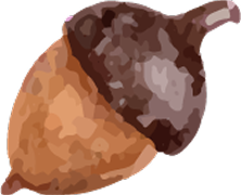 Ilustração de bolota em chocolate marrom e escuro