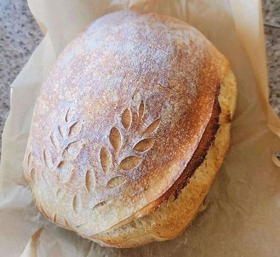 Powdered bread roll with leaf pattern on parchment paper