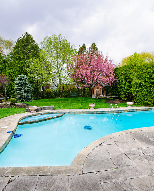 Backyard swimming pool with blue water, stone deck, and blooming trees in the background