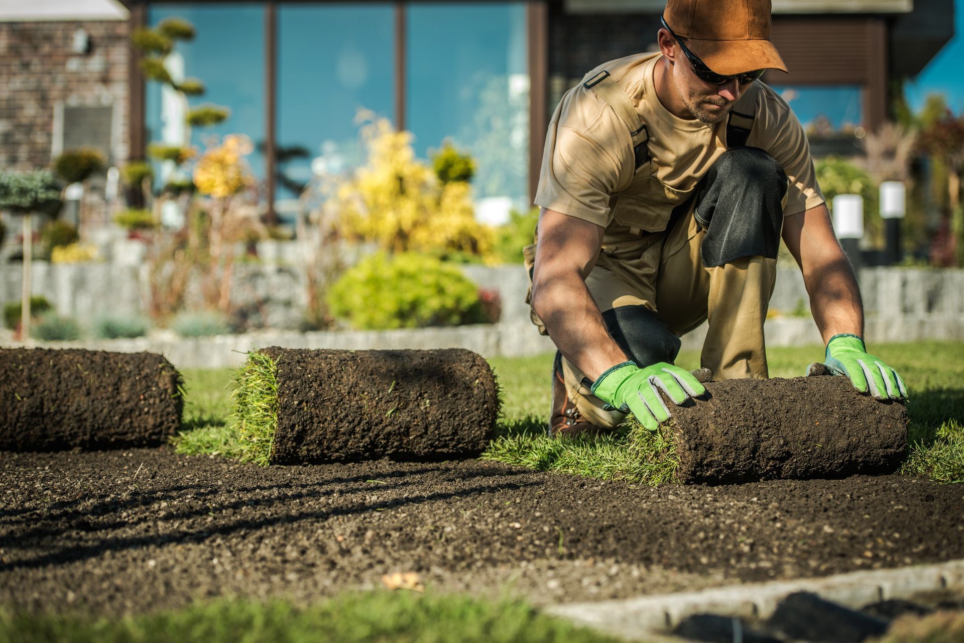 Landscaper installing rolls of fresh sod turf in a residential front yard.