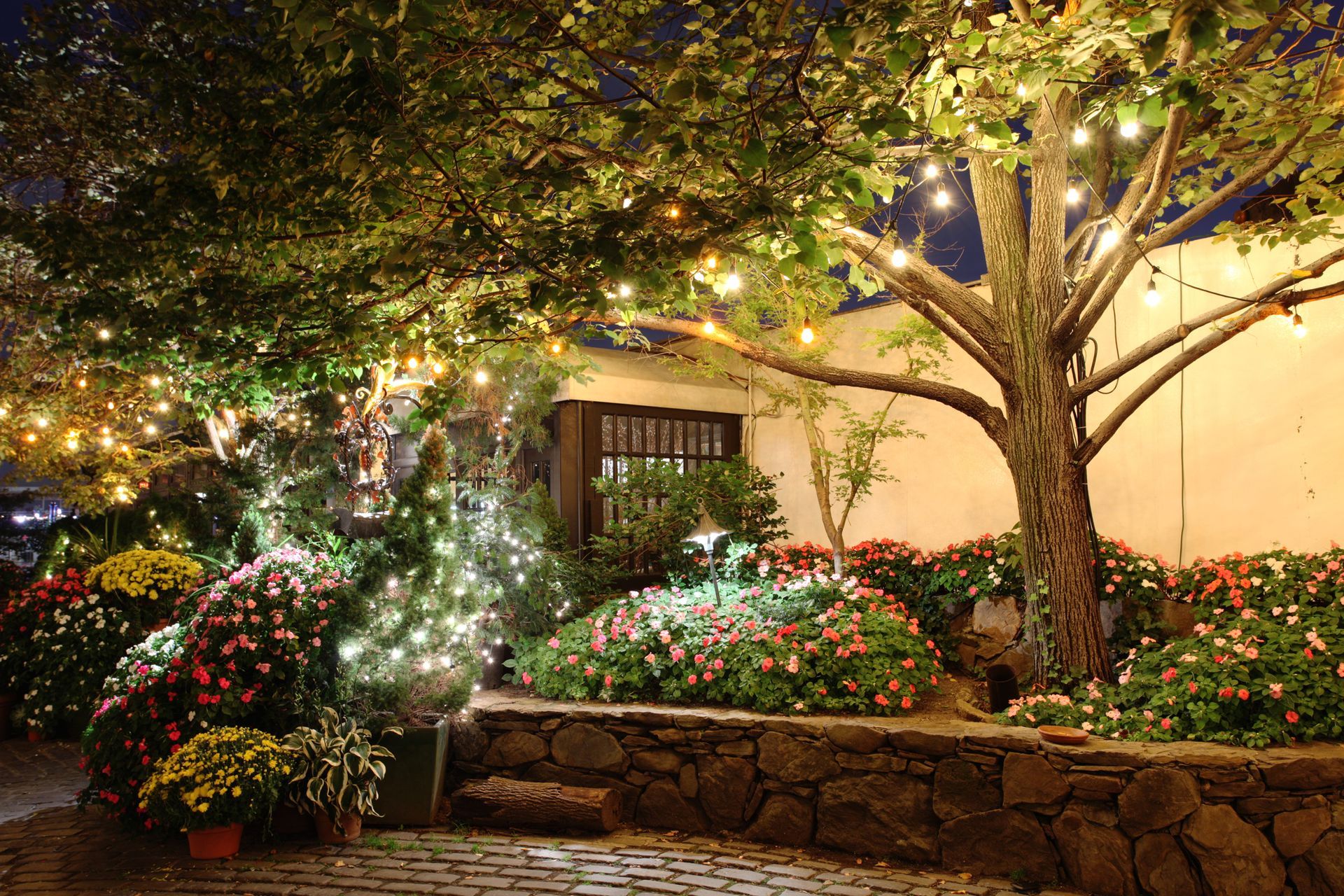 A tree is lit up with christmas lights in a garden