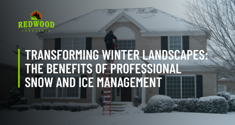 Winter landscapes the benefits of professional snow and ice management