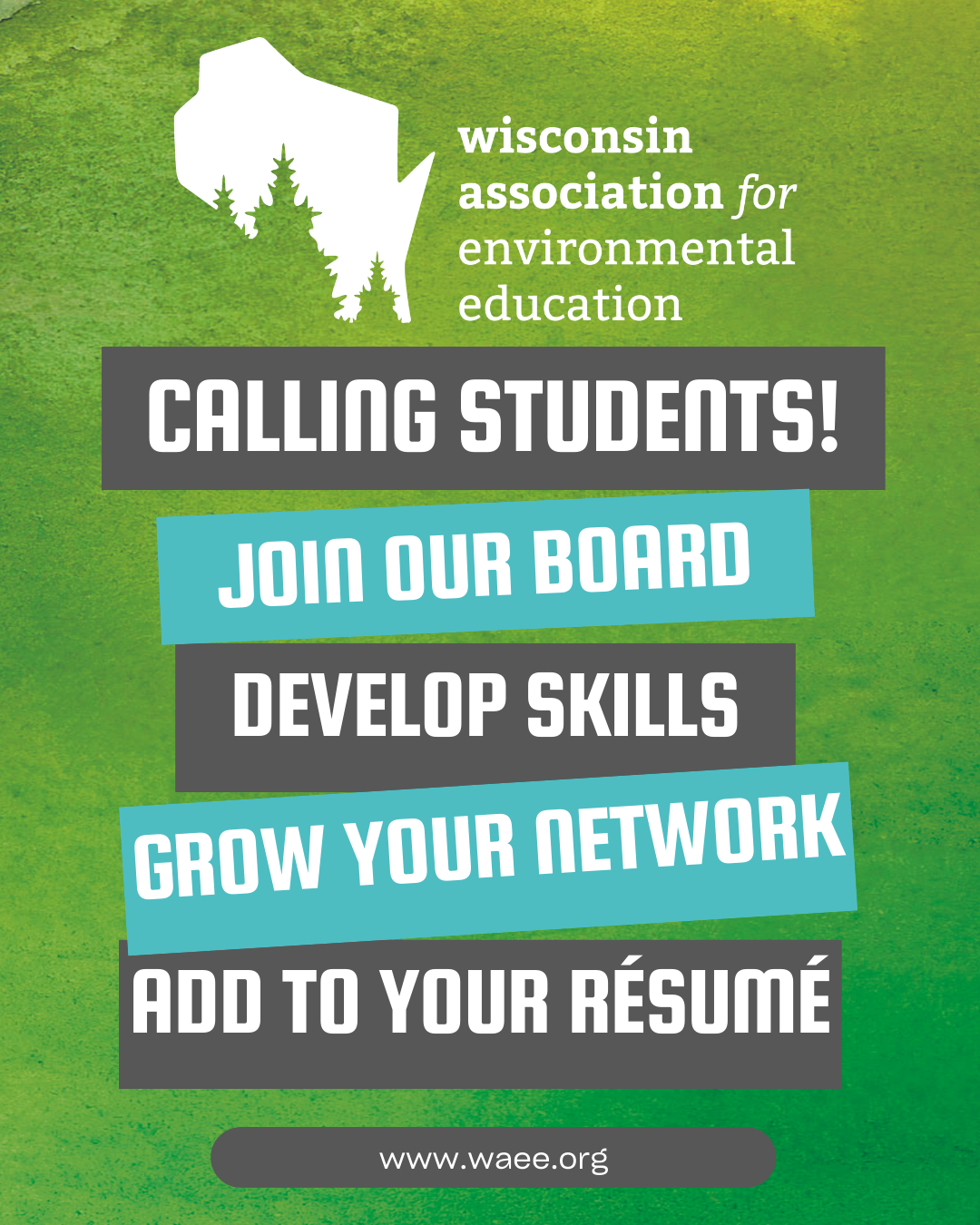 Flyer for Wisconsin Association for Environmental Education recruiting students to join their board at www.waee.org.