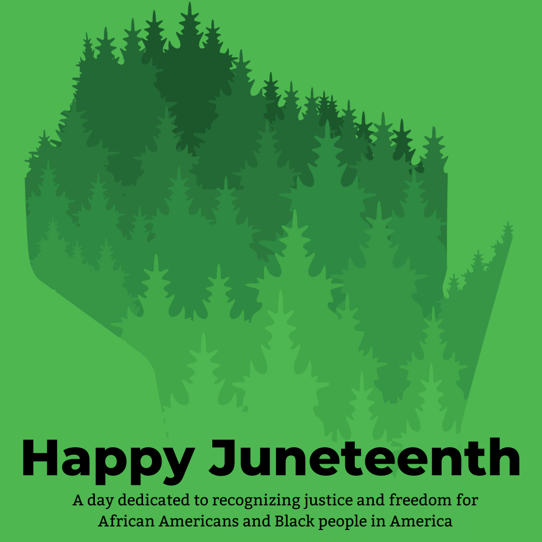 Outline of the state of Wisconsin with green trees in different shades with the words 