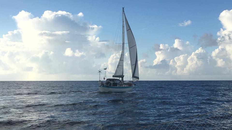 Catalina Morgan 41 Classic sailing