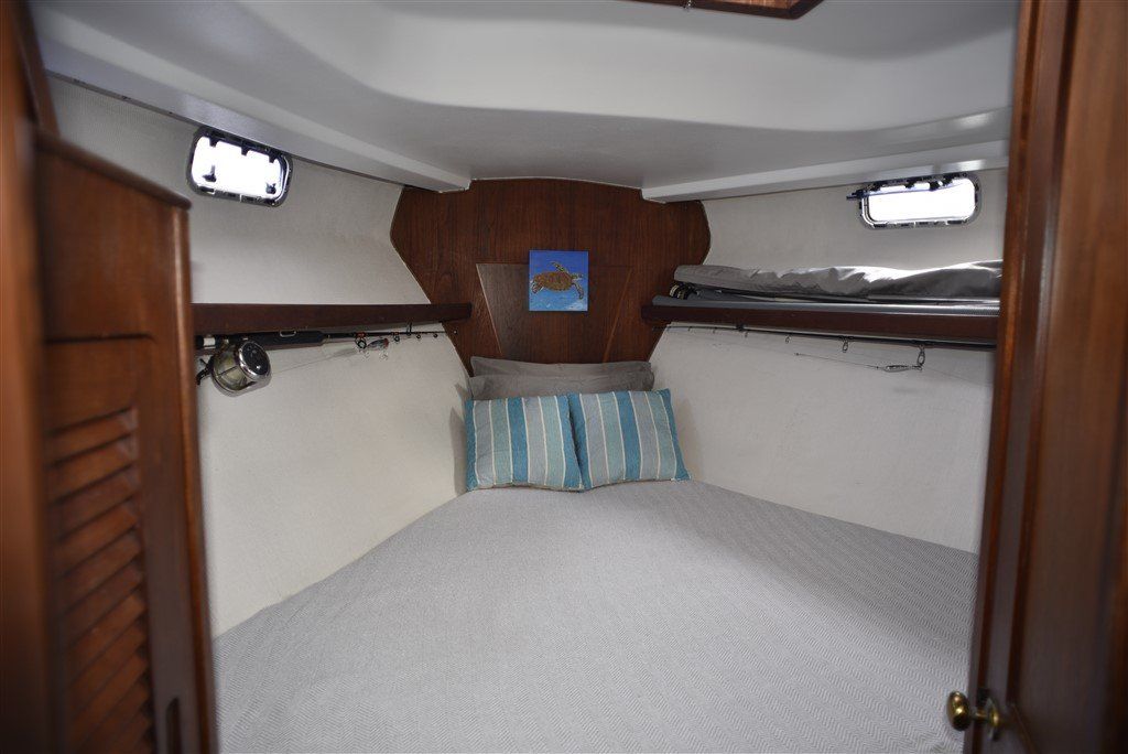 Catalina Morgan 41 Classic forepeak cabin