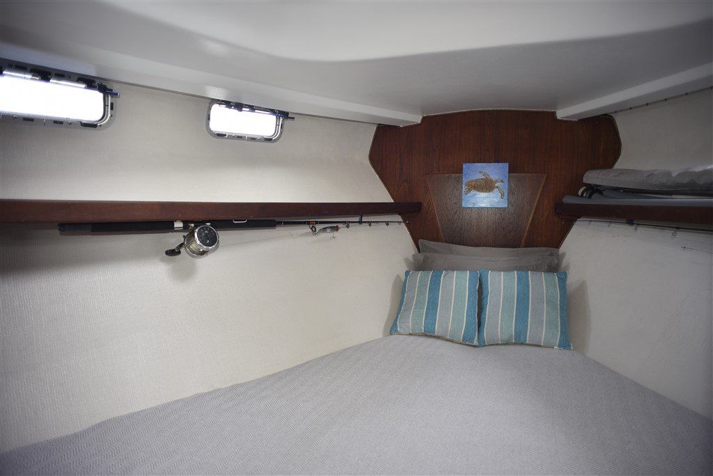 Catalina Morgan 41 Classic vee berth