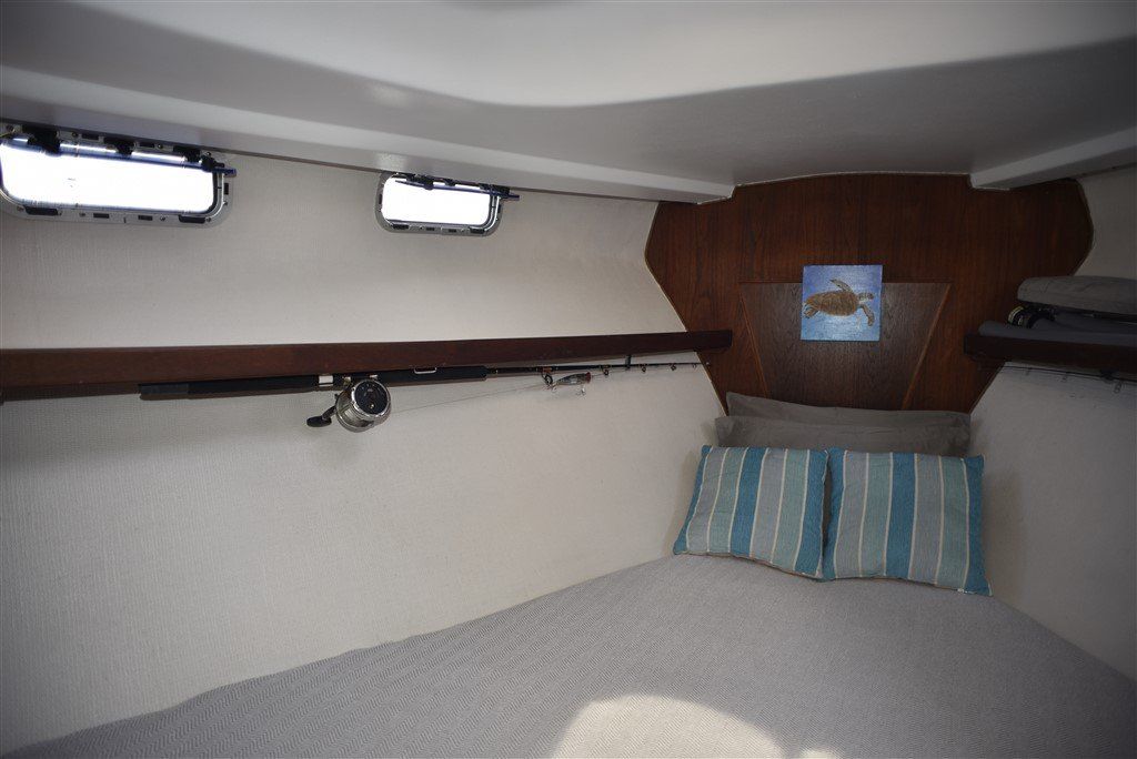 Catalina Morgan 41 Classic forward cabin