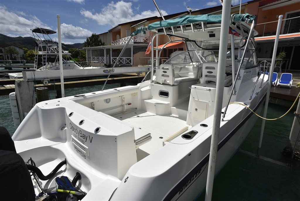 Boston Whaler 305 Conquest cockpit