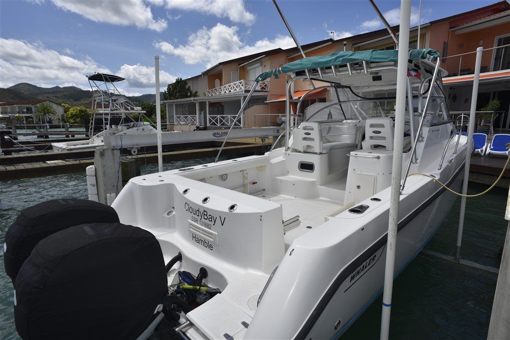 Boston Whaler 305 Conquest transom