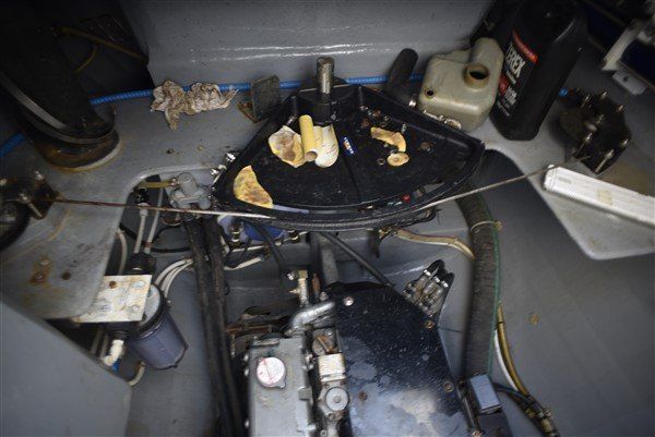 Voyage 480 engine