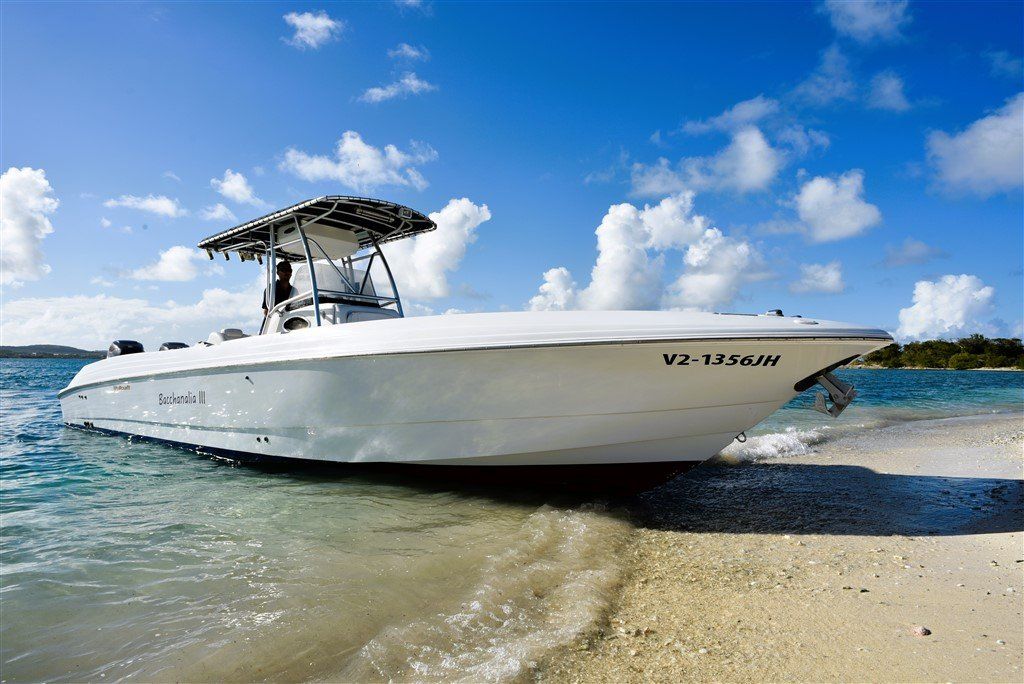 Scarab for sale in Caribbean
