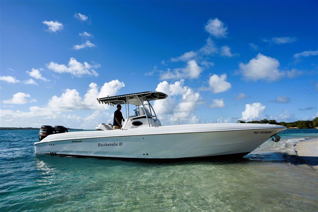 Scarab for sale