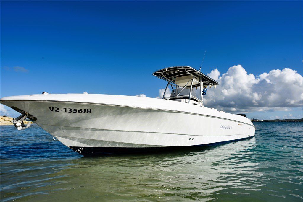 Scarab for sale in Antigua