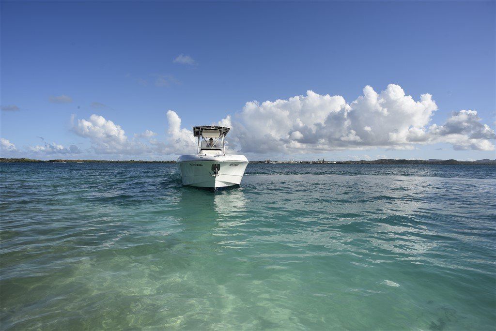 Wellcraft Scarab 302