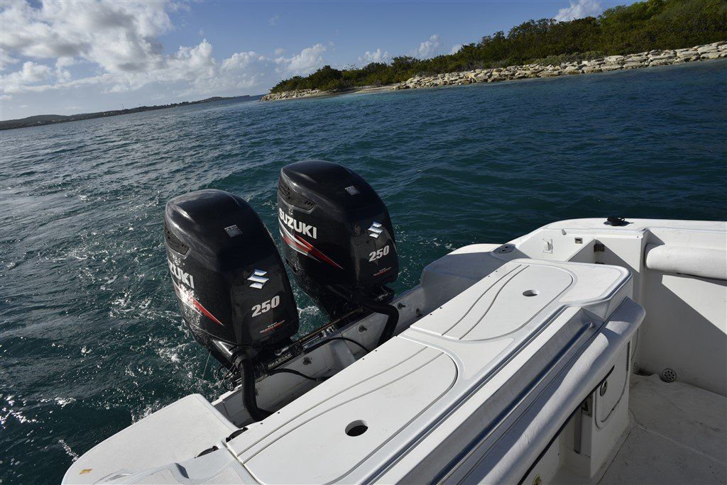Transom fish boxes