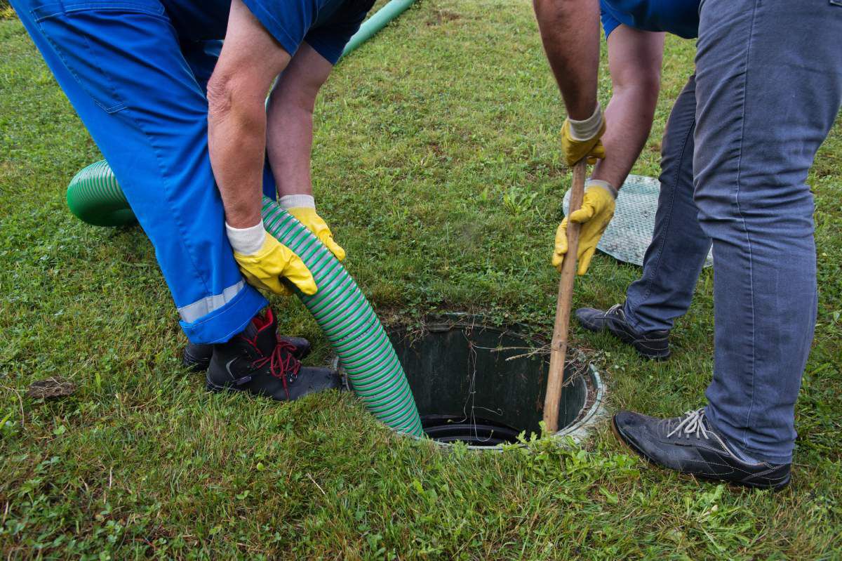 Drain inspection