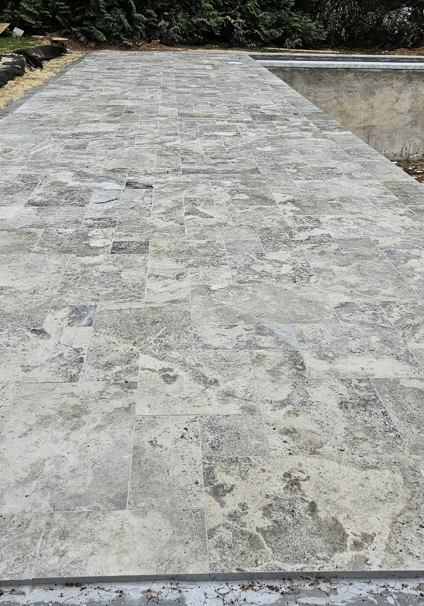 Concrete walkway beside a garden bed, with trees and shrubs along the edges.