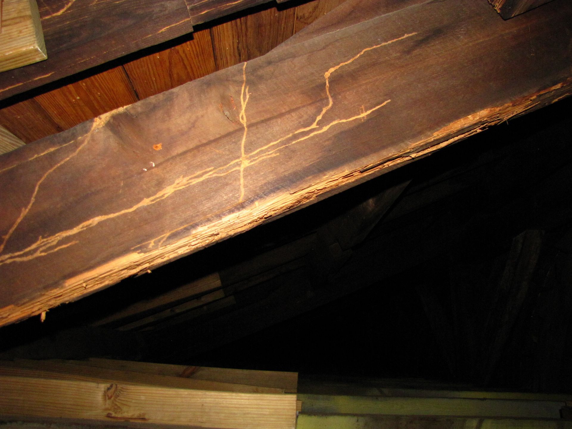 Close-up of cracked wooden beams in a dark attic space