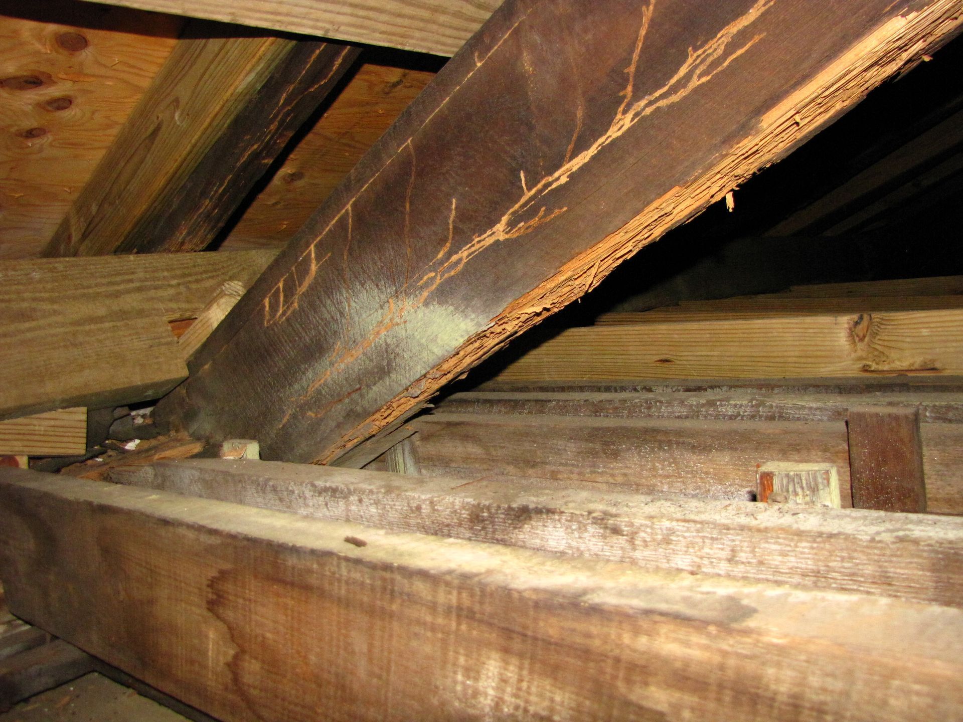 Wooden attic rafters and beams with dust and rust-colored stains