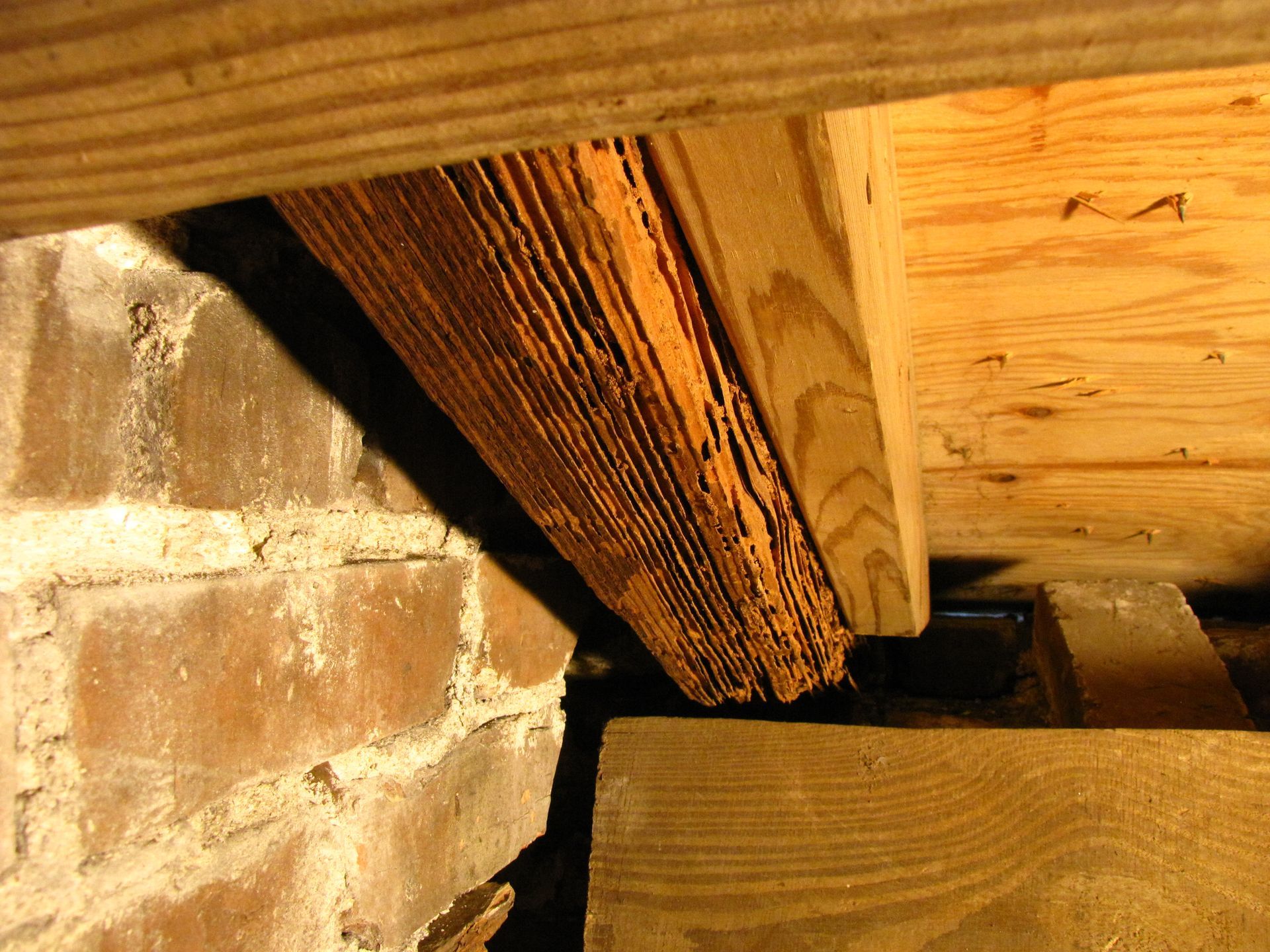 Close-up of wooden beams meeting a brick wall in an attic or crawl space.