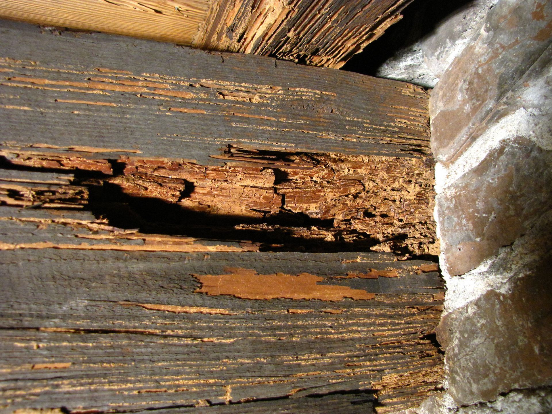 Close-up of a decayed wooden beam with a large rotted hole and peeling brown-gray paint