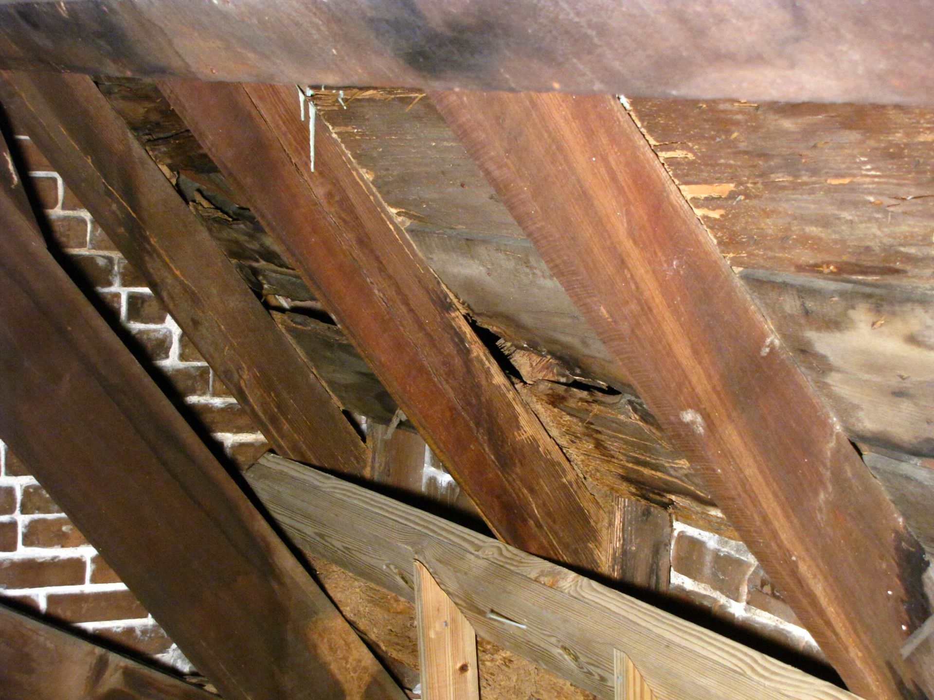 Broken wooden beams under a roof, showing damaged attic framing and exposed shingles.