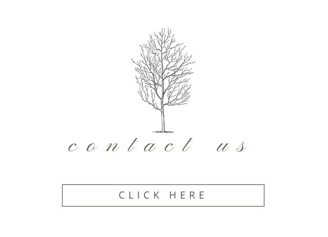 Minimal white webpage with a tree logo, “contact us” text, and a “CLICK HERE” button
