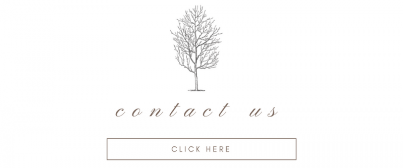 Minimal white webpage with a tree logo, “contact us” text, and a “click here” button