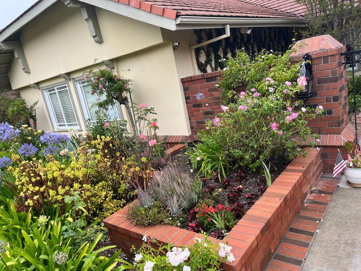 Front yard flower bed with colorful blooms beside a brick wall and a house entrance