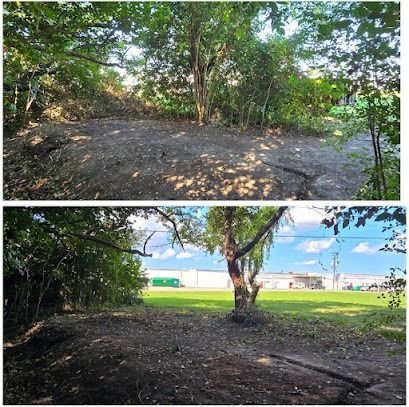 Top: Before and after view of a cleared dirt area surrounded by trees. Bottom: Grass and buildings are visible after clearing.