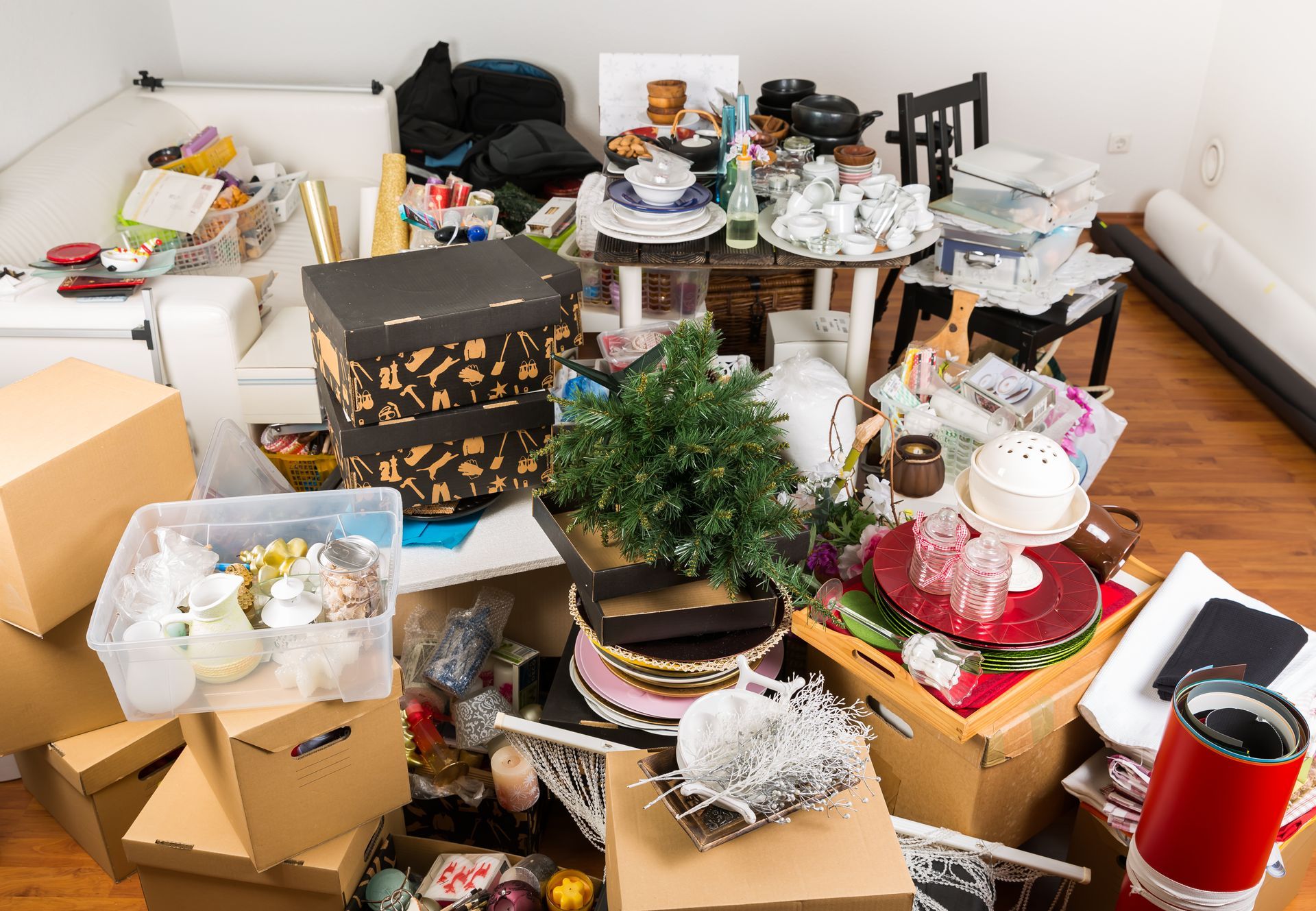 Cluttered room with many boxes, dishes, and assorted household items piled across the floor and tables