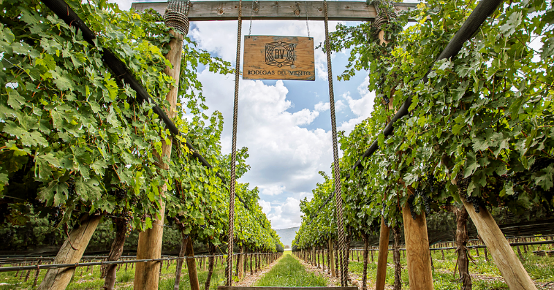 Bodegas del Viento en la Sierra de Arteaga, Coahuila