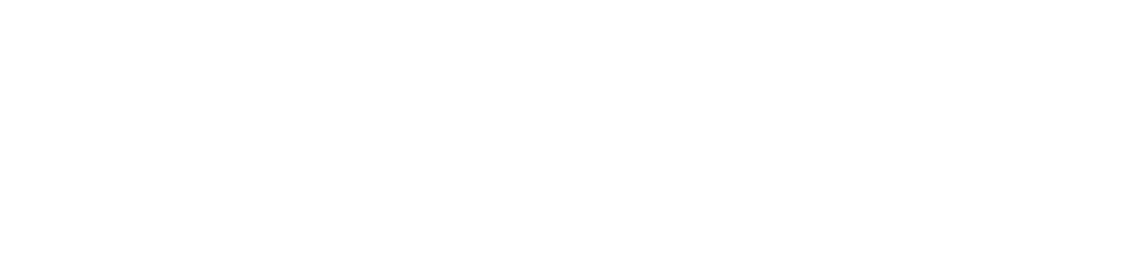 Neurodynamics Logo