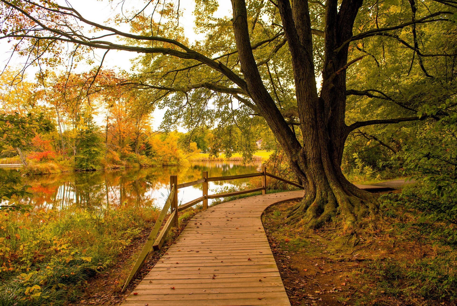 Wooden boardwalk winding through autumn trees beside a calm lake