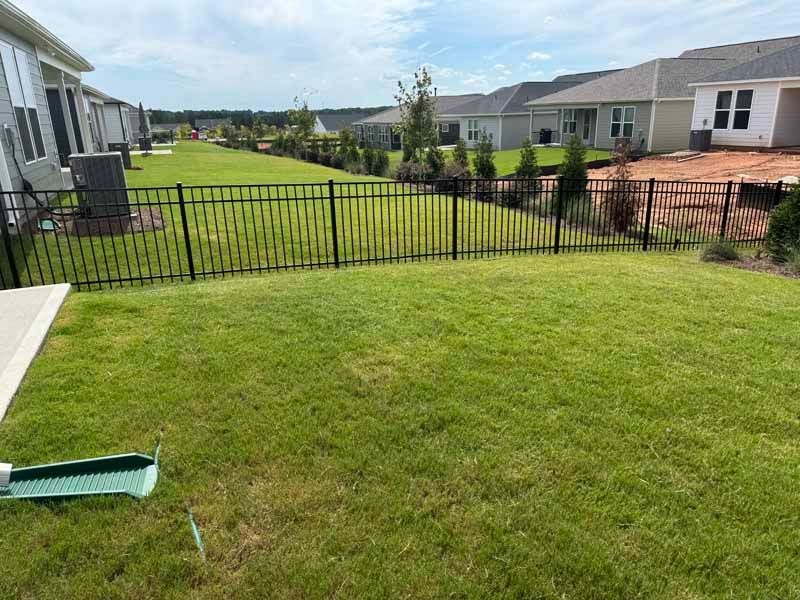 Grassy backyard with black fence, neighboring houses, and a suburban landscape under a blue sky