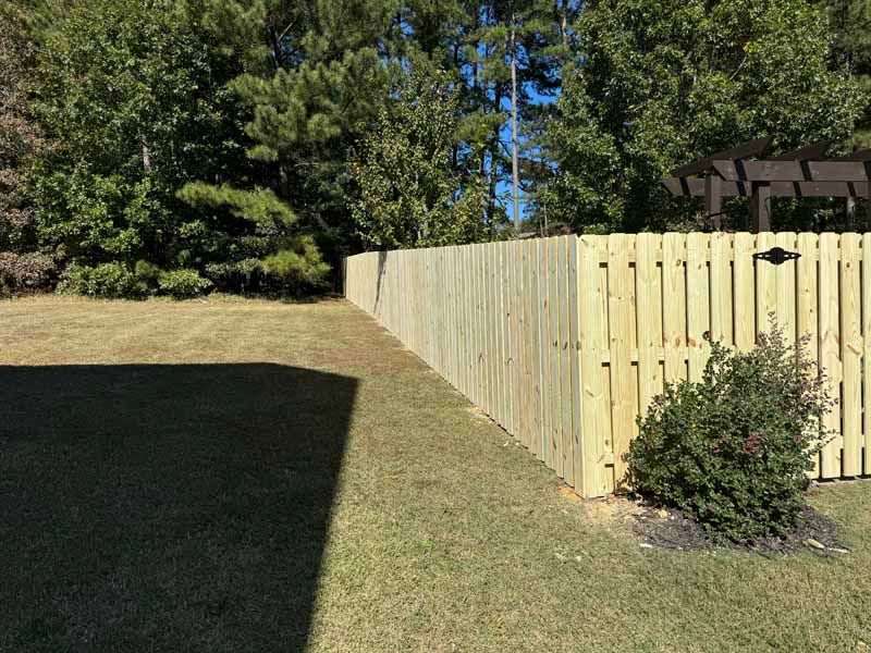 Backyard with a wooden privacy fence, grassy slope, and trees in bright sunlight