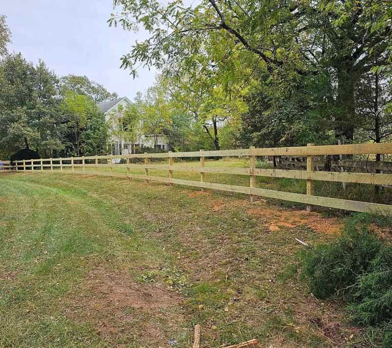 Grassy path beside a pale wooden fence with trees under an overcast sky