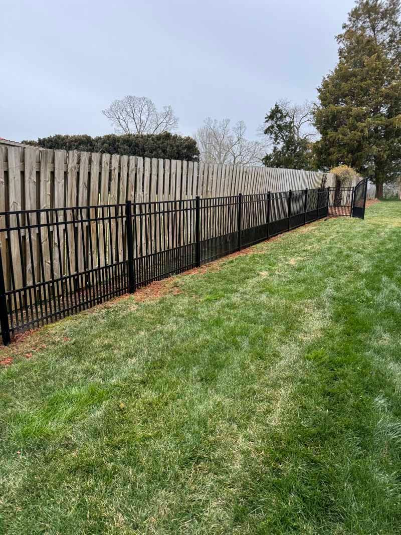 Long black fence along a grassy yard beside a tan wooden fence and trees.