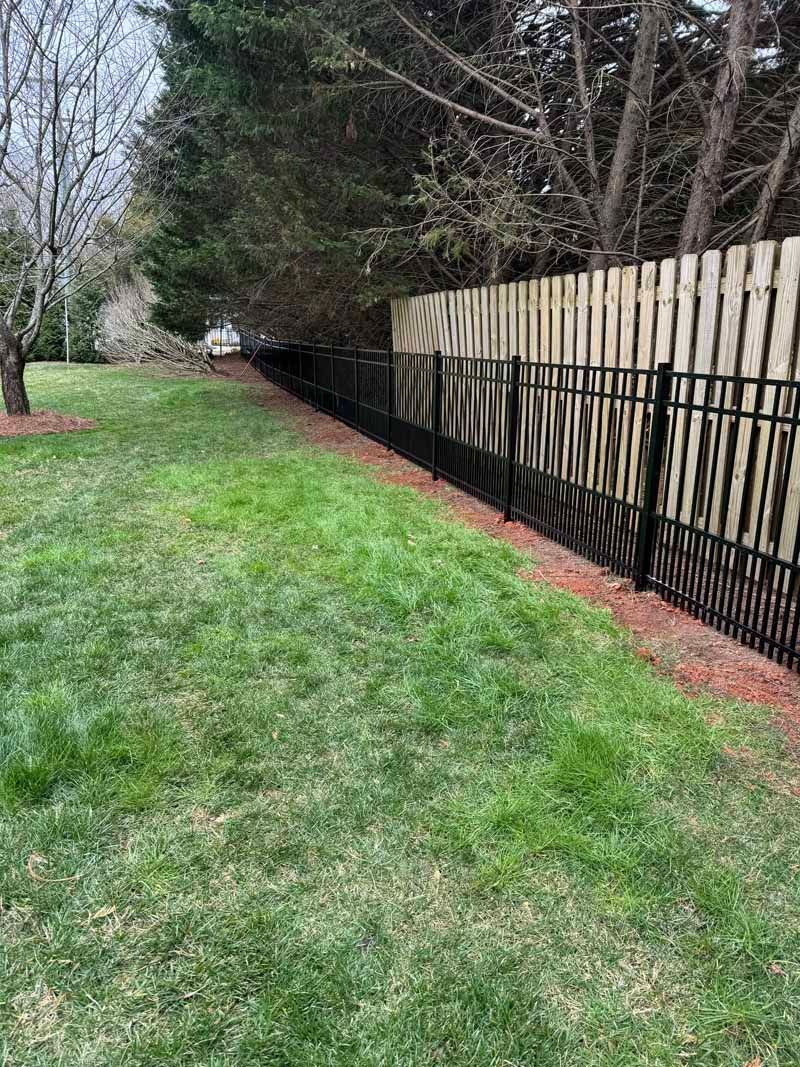 Grassy backyard beside a black metal fence and tall wooden privacy fence with trees in the background