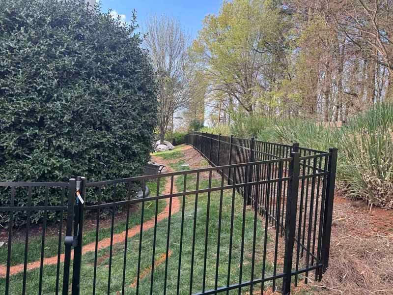 Black metal fence beside a grassy path between dense hedges and trees in a garden
