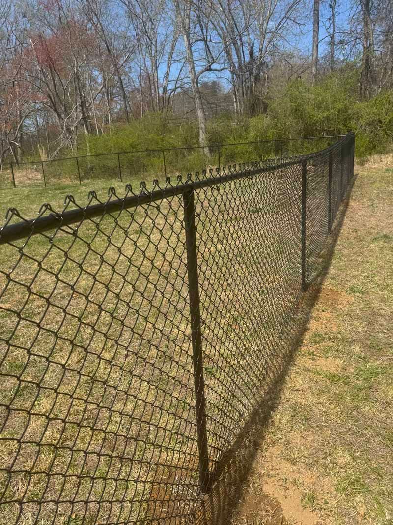 Chain-link fence along a grassy yard with trees in the background under a clear sky